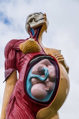 Bakire Ana heykeli Haziran 2021 'de Wakefield yakınlarındaki Yorkshire Heykel Parkı' nda görüldü. Bu, sanatçı Damien Hirst tarafından 2005 yılında yaratıldı..