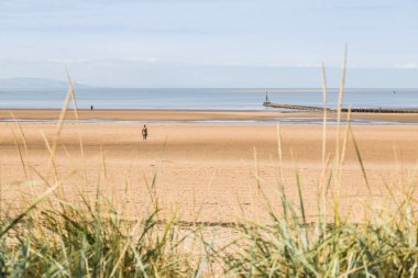 Antony Gormley 'nin Crosby plajındaki bir başka yeri oluşturan 100 Demir Adam' dan üçü, Ağustos 2021 'de Marram çimlerinin üzerinde görüldü..