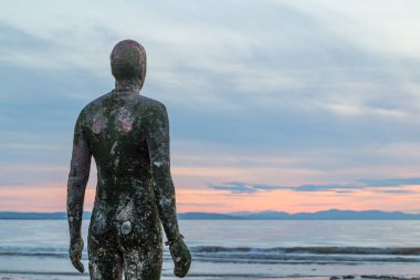 Gelgit, Eylül 2021 'de Liverpool yakınlarında Antony Gormley' nin sanat üssü olan başka bir yerdeki Demir Adam heykeline doğru akın ediyor..