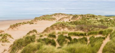 Liverpool yakınlarındaki Formby sahili boyunca uzanan kum tepelerinin çok görüntülü manzarası marram otları arasında zikzak çizen patikalarla dolu..