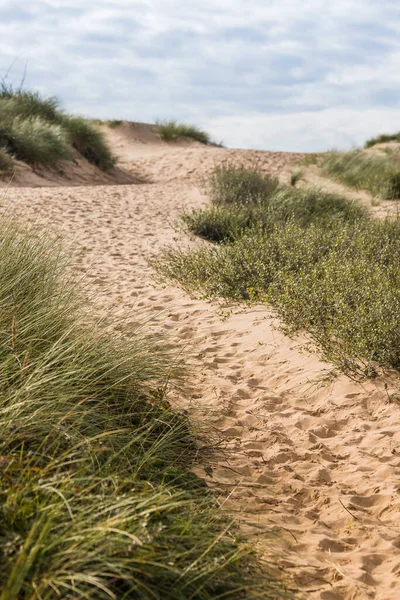 Impronte Piedi Viste Che Conducono Alta Duna Sabbia Verso Spiaggia — Foto Stock