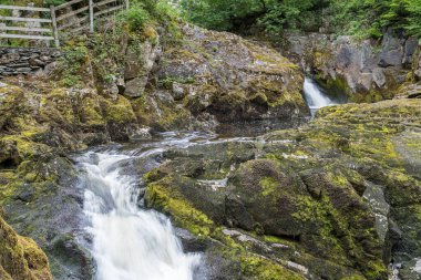 Kuzey Yorkshire 'daki Ingleton Şelaleleri Yolu' ndaki Kar Şelaleleri 'nin üzerinden sular akıyor..