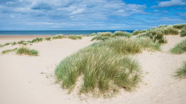 Sand Dunes Meet Beach Holkham North Norfolk Coast Summer 2022 — Stockfoto