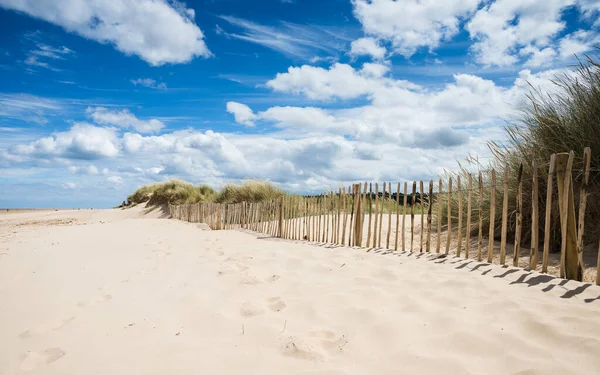 Όμορφη Καθαρή Άμμος Που Φαίνεται Δίπλα Ένα Φράχτη Στην Παραλία — Φωτογραφία Αρχείου