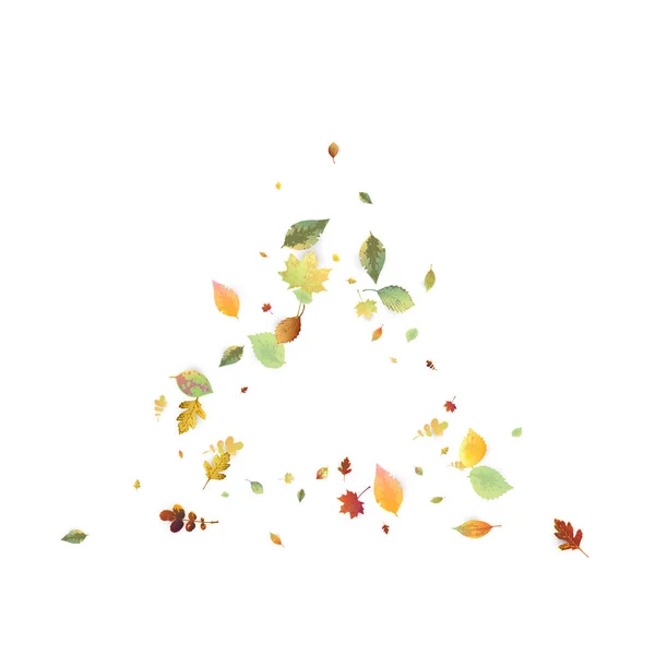 Hojas Cayendo Autumn Flying Foliage Hoja Caótica Verde Amarilla Roja — Vector de stock