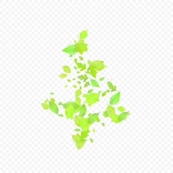 Leaves Falling Spring Flying Foliage Chaotic Green Leaf Flying Transparent — Vetor de Stock