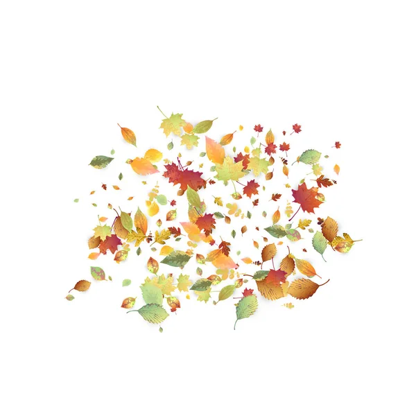 Leaves Falling Autumn Flying Foliage Chaotic Green Yellow Red Leaf — Stock Vector