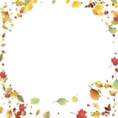 Yapraklar Düşüyor. Sonbahar Uçan Yaprakları. Kaotik Yeşil, Sarı, Kırmızı Yaprak Beyaz Arkaplanda Uçuyor. Orman Tasarımı, Doğa Elementleri. Ekoloji Vektörü İllüstrasyonu. Ortam Arkaplanı.