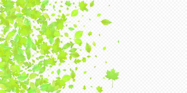 Leaves Falling Spring Flying Foliage Chaotic Green Leaf Flying Transparent — Vetor de Stock