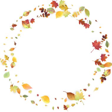 Yapraklar Düşüyor. Sonbahar Uçan Yaprakları. Kaotik Yeşil, Sarı, Kırmızı Yaprak Beyaz Arkaplanda Uçuyor. Orman Tasarımı, Doğa Elementleri. Ekoloji Vektörü İllüstrasyonu. Ortam Arkaplanı.