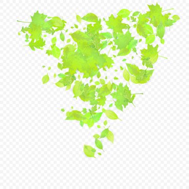 Yapraklar Düşüyor. Bahar Uçan Yaprakları. Şeffaf Arkaplanda Kaotik Yeşil Yaprak Uçuyor. Orman Tasarımı, Doğa Elementleri. Ekoloji Vektörü İllüstrasyonu. Ortam Arkaplanı.