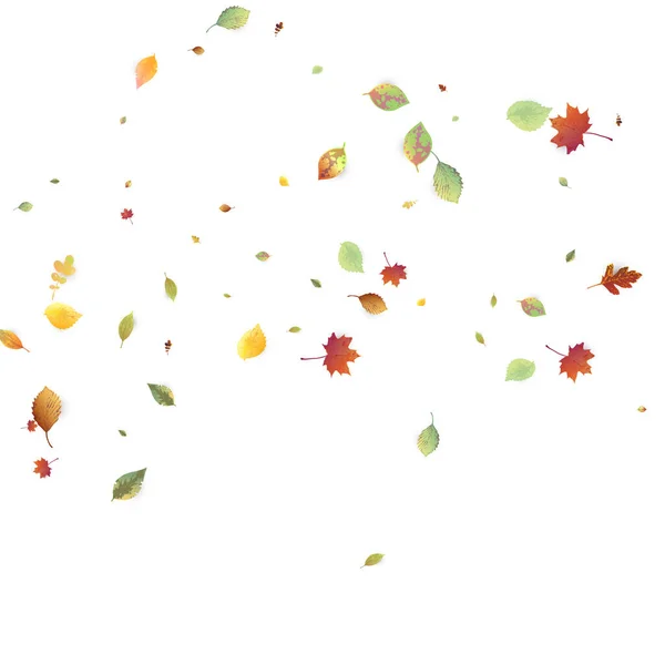 Blätter Fallen Herbstfliegendes Laub Chaotisches Grün Gelb Rotes Blatt Das — Stockvektor
