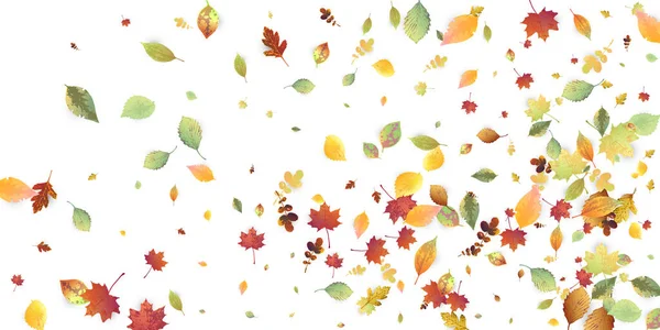 Bladeren Vallen Herfst Vliegend Loof Chaotisch Groen Geel Rood Blad — Stockvector