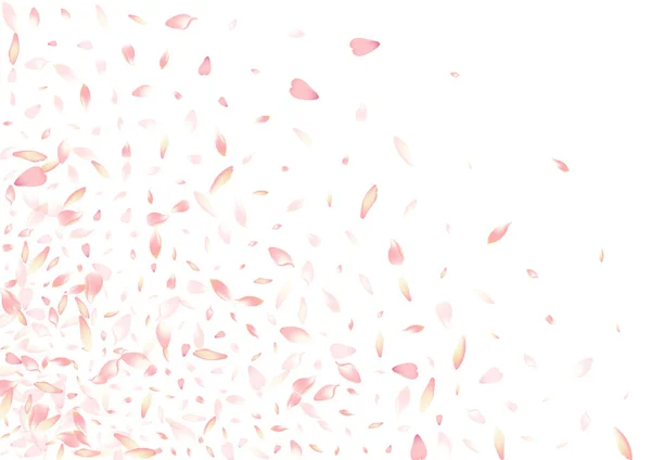 Transparante Bloemblaadje Vector Witte Achtergrond Pink Flying Cherry Petal Card — Stockvector