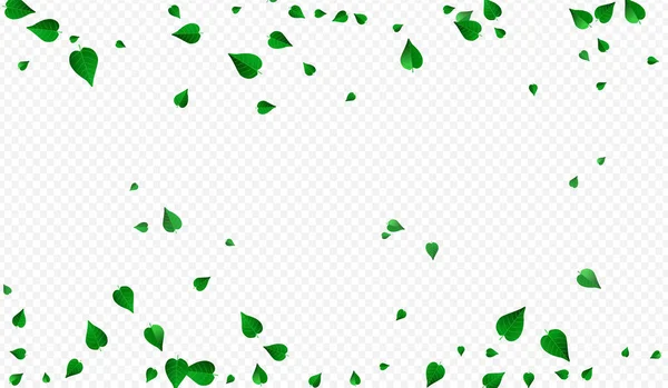 Vetor Vento Pântano Verde Ramo Fundo Transparente Swirl Leaves Banner — Vetor de Stock