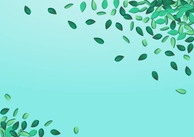 Bataklık Yaprakları Ağaç Vektörü Mavi Arkaplan Tasarımı. Düşen Yeşiller Düzeni. Zeytin yaprağı soyut kavramı. Yaprak Rüzgarı Broşürü.