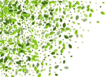 Bataklık Yaprakları Uçan Vektör Broşürü. Taze yaprak dalı. Lime Leaf Organik Arkaplan. Yeşiller Ekoloji Tasarımı.