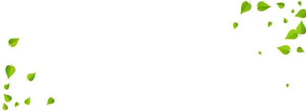 フォレスト グリーンアブストラクトベクターパノラマホワイト背景パンフレット 映画の葉のイラスト オリーブの葉の自然デザイン 葉の落下ポスター — ストックベクタ