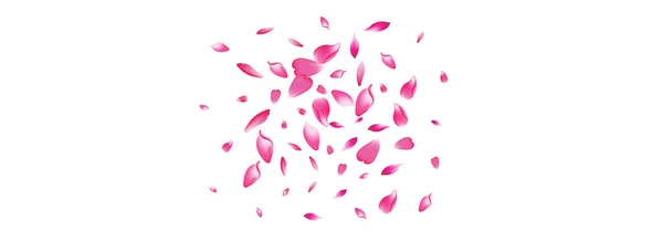 Pastel Cherry Petal Vector Panoramic Hintergrund Lila Floral Lotus Blütenblatt — Stockvektor