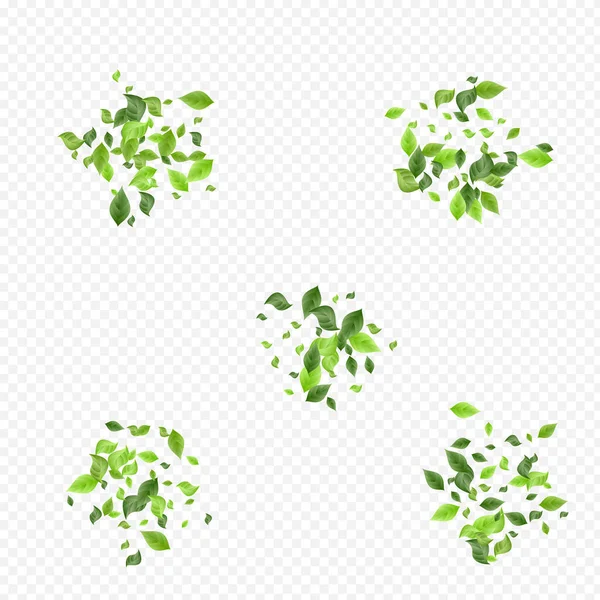 Green Leaf Flying Vector Transparent Background Wallpaper Spring Leaves Pattern — Stock Vector