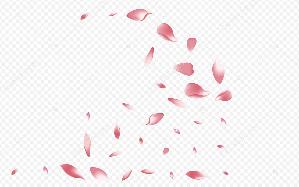 Light Rose Vector Transparent Background. Sakura Fresh Template. Tree Japanese Congratulation. Apple Valentine Design. Pink Blooming Beauty Card.