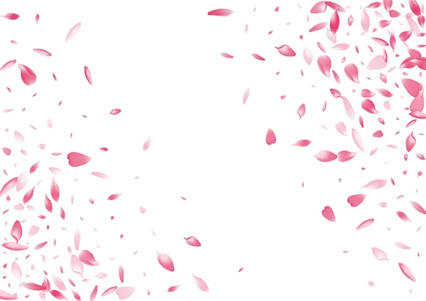 Przezroczyste Cherry Petal Wektor Białe Tło Różowy Wiosenny Lotus Petal — Wektor stockowy