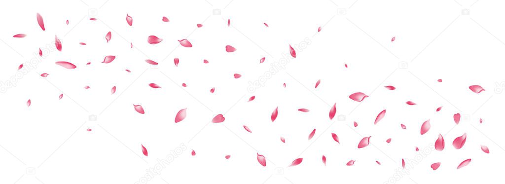 Color Cherry Petal Vector White Background. Pink Floor Apple Petal Product. Flower Petal Dream Texture. Delicate Rose Petal Frame.