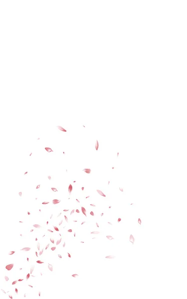 Прекрасний Весняний Вектор Сакура Білий Фон Осінній Квітковий Плакат Рожевий — стоковий вектор