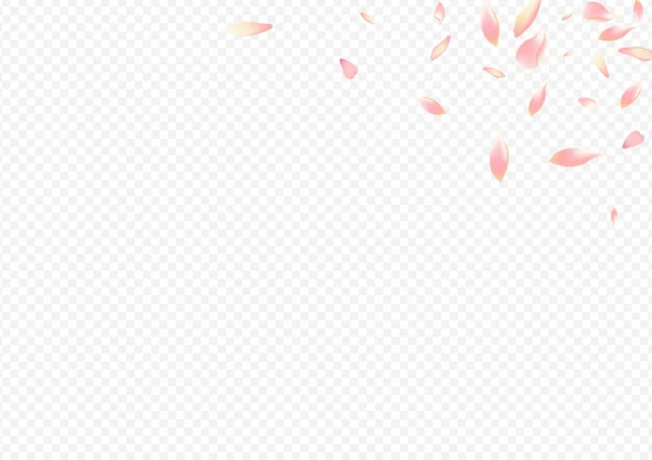 红樱花矢量透明背景 Peach Springtime模式 无叶卡 樱桃自然图解 彩花婚纱 — 图库矢量图片