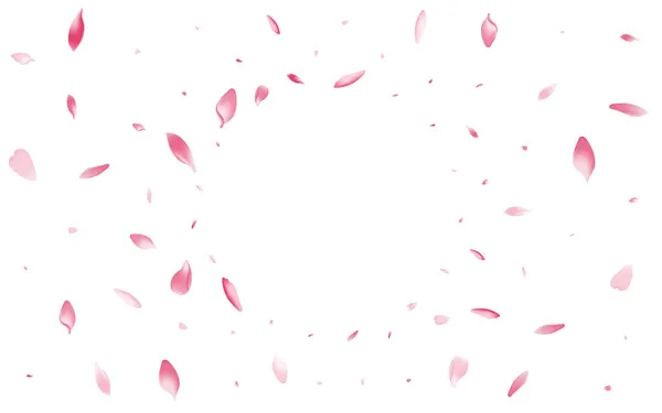 Рожевий Пелюсток Лотоса Векторний Білий Фон Тлі Пелюсток Білого Персика — стоковий вектор