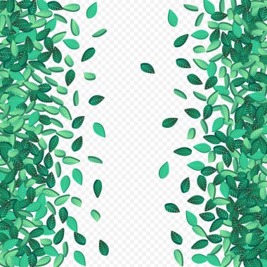 Çimenli Yapraklar Düşen Vektör Şeffaf Arkaplan Taze Yeşil Sınır. Limon Yaprağı Döndürme Tasarımı. Yaprak Ekoloji SancağıName.