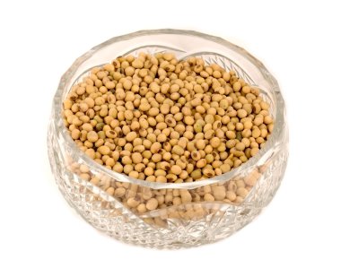 bir vazoda soya fasulyesi