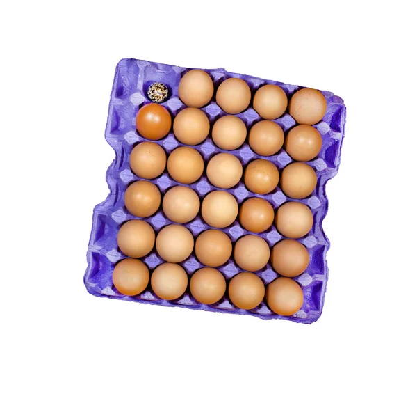못생긴 계란 — 스톡 사진