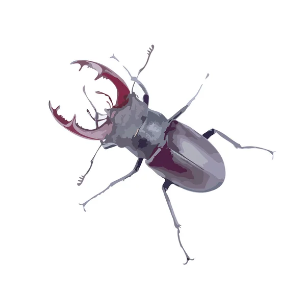 Escarabajo grande — Vector de stock