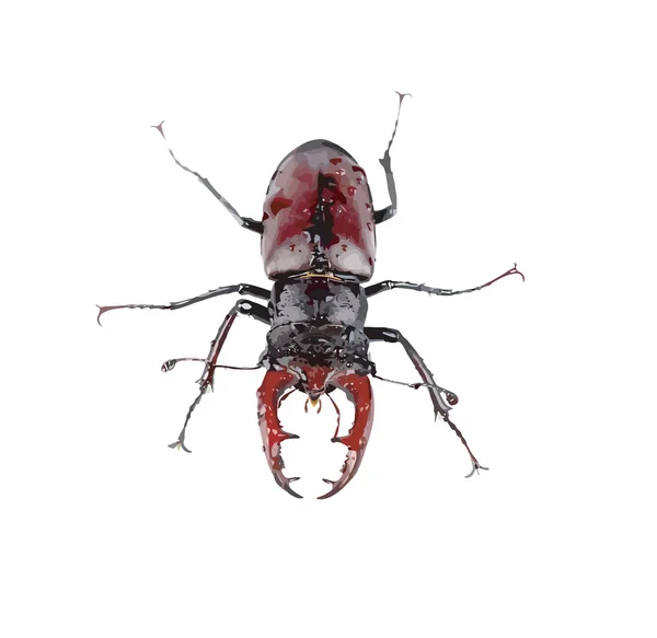 Islak kahverengi stag beetle — Stok Vektör