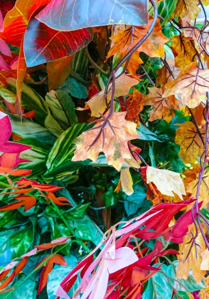 Háttér őszi táj. Sárga, piros, narancssárga lombozat. Az októberi nap évszaka. — Stock Fotó