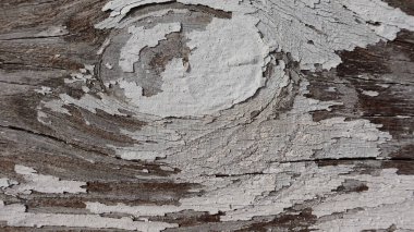 Eski ışık ahşap tahtalardaki boyayı çatlattı. Desenli