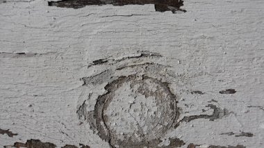 Eski ışık ahşap tahtalardaki boyayı çatlattı. Desenli