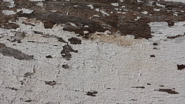Old Light Cracked Paint Wooden Boards Textured — ストック写真