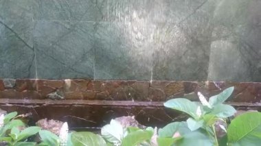 Güneşli bir günde, bir binanın duvarındaki bir taştan su akar..