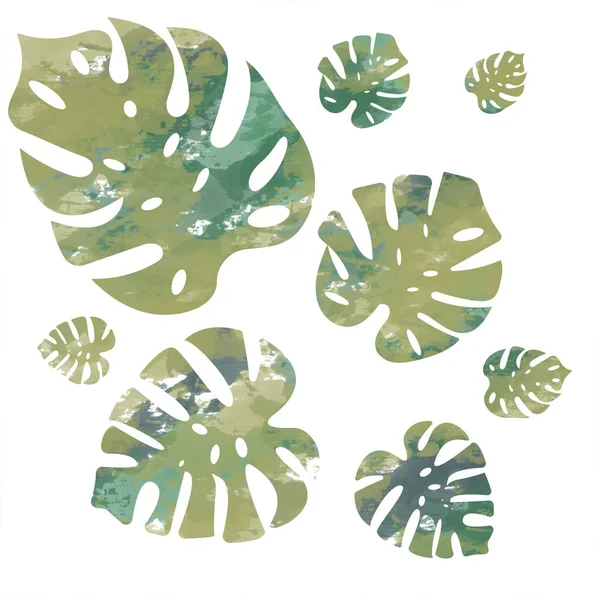 Beyaz arka planda yeşil canavar yaprakları. Suluboya.