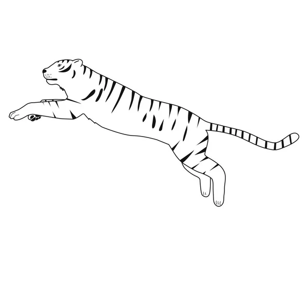 Svart Och Vit Bild Rinnande Tiger Vit Bakgrund — Stock vektor