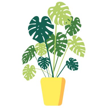 Kapalı ev bitkisi. Poster. Pankart, etiket. Mavi, kahverengi ve pastel