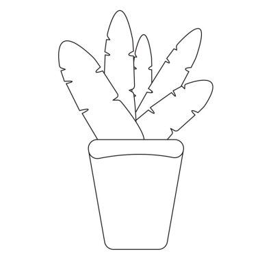 Siyah beyaz el çizilmiş ev bitkisi. Poster.Afiş, etiket. Vektör