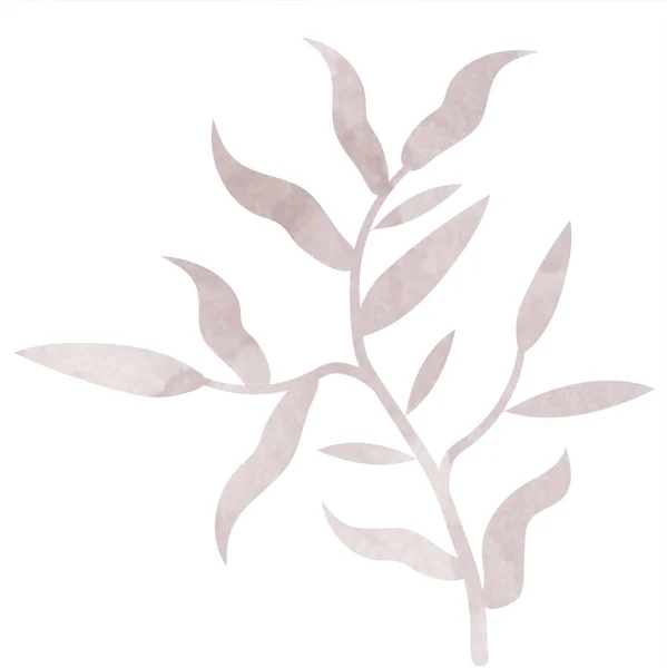 Akwarelowe Liście Roślin Domowych Piękna Fajna Tekstura — Zdjęcie stockowe