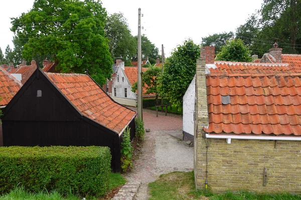 Altes Dorf Nordholland Fenster Und Helle Blumen Strukturierte Wände — Stockfoto