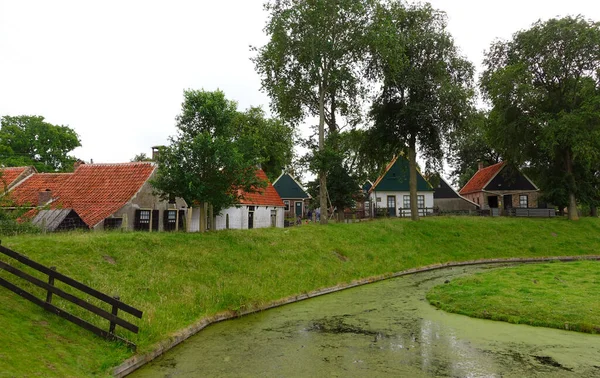 Старая Деревня Северной Голландии Окна Яркие Цветы Текстурные Стены — стоковое фото