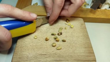 Asansörün laboratuarında soya fasulyesinin kalitesinin elle kontrolü.