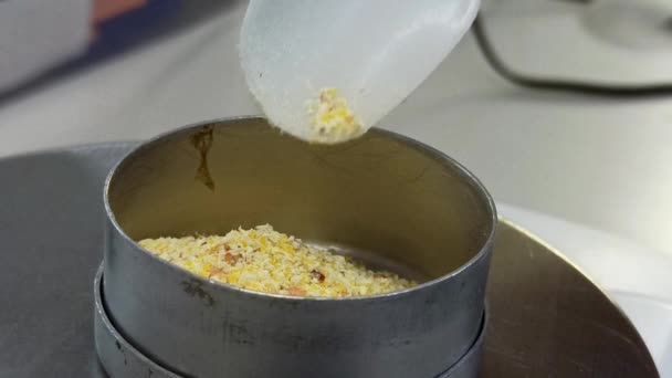 Pesaje en las básculas de corte de maíz para la humedad — Vídeos de Stock