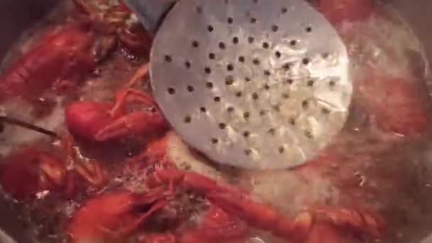 Memasak crayfish di atas kompor dalam kuali dengan dill — Stok Video